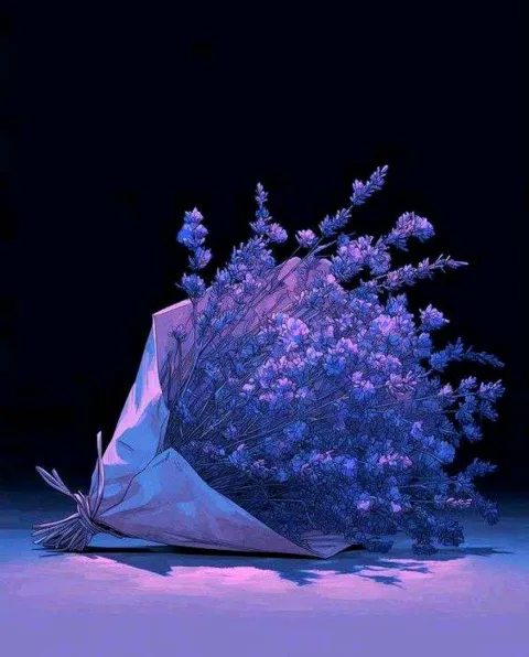 غلاف رواية Where is my heart?