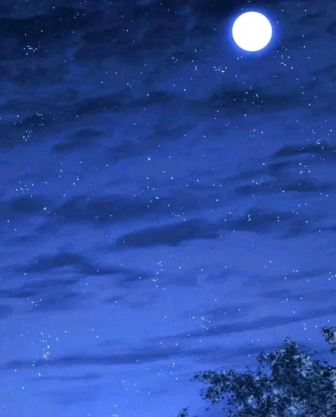 غلاف رواية قلبان في عاصفة الظلام