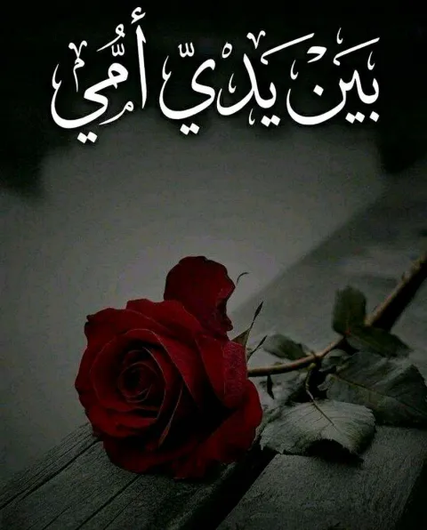 غلاف رواية بين يدي أمي"