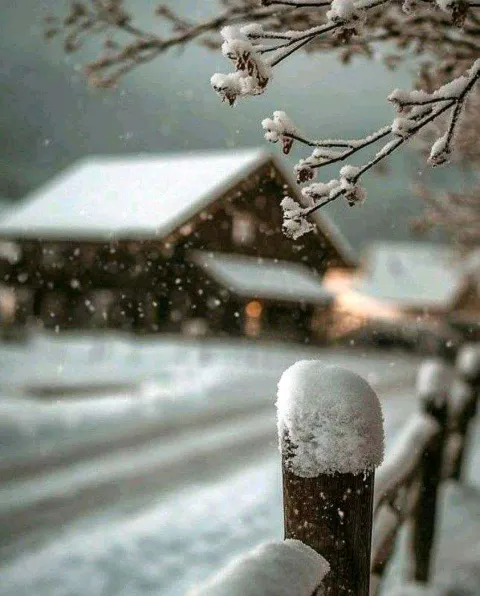 غلاف رواية En pleno invierno