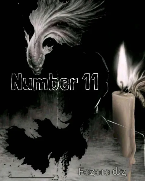 غلاف رواية Number 11
