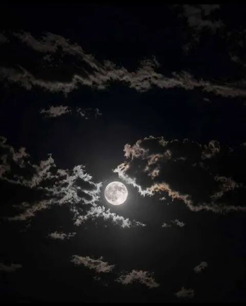 غلاف رواية دم احمر واسود 🫀🖤