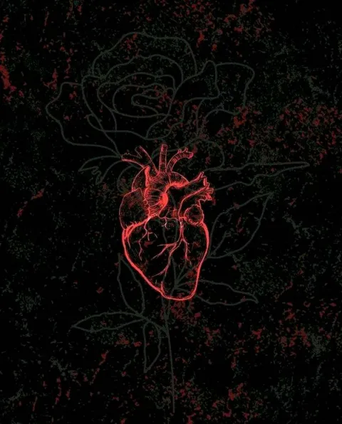 غلاف رواية Heart decoration