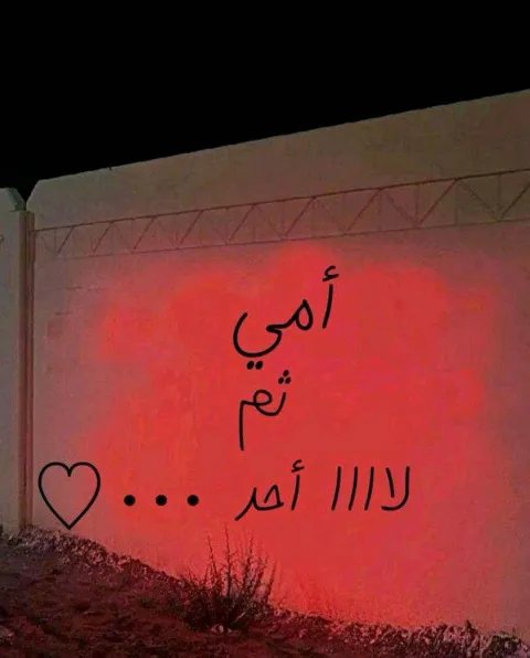 غلاف رواية أريدك امي