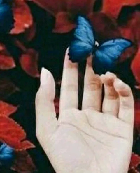 غلاف رواية قصائد