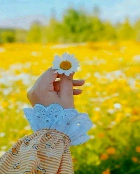 غلاف رواية أشعار